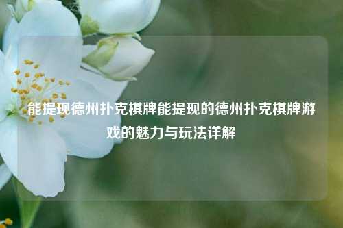 能提现德州扑克棋牌能提现的德州扑克棋牌游戏的魅力与玩法详解