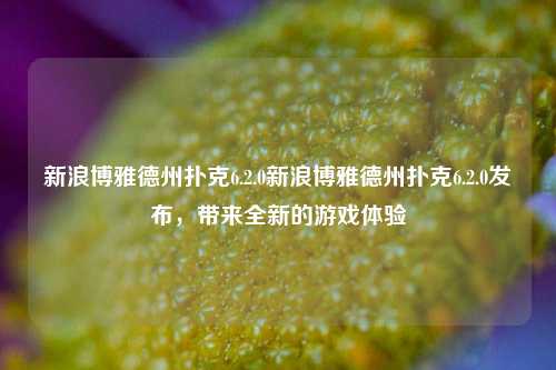 新浪博雅德州扑克6.2.0新浪博雅德州扑克6.2.0发布，带来全新的游戏体验