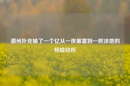 德州扑克输了一个亿从一夜暴富到一败涂地的惊险经历