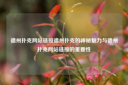 德州扑克网站链接德州扑克的神秘魅力与德州扑克网站链接的重要性