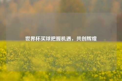 世界杯买球把握机遇，共创辉煌