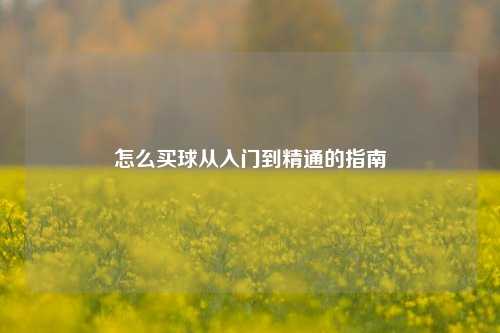 怎么买球从入门到精通的指南