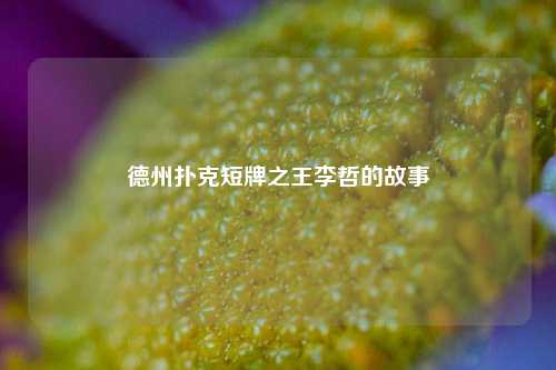 德州扑克短牌之王李哲的故事