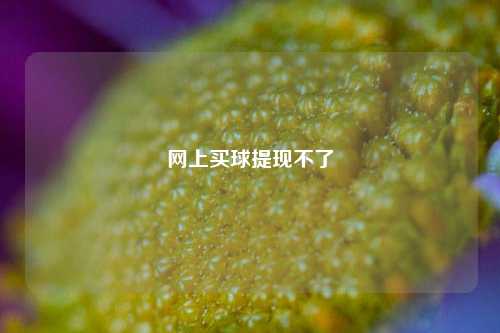 网上买球提现不了