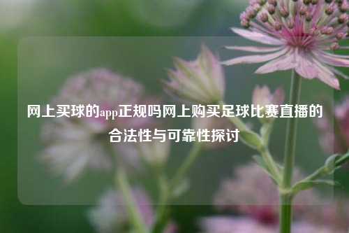 网上买球的app正规吗网上购买足球比赛直播的合法性与可靠性探讨