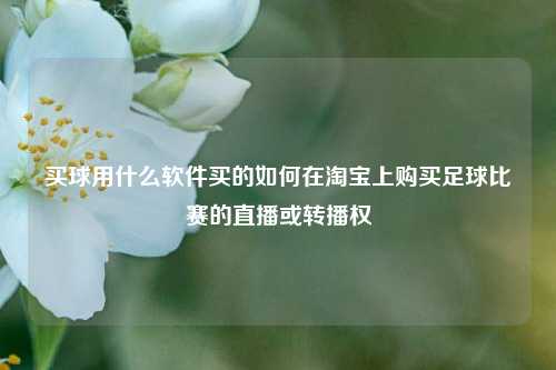 买球用什么软件买的如何在淘宝上购买足球比赛的直播或转播权