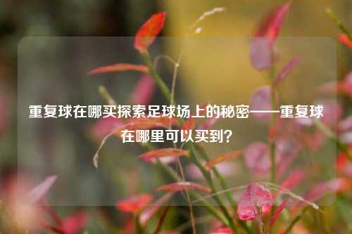 重复球在哪买探索足球场上的秘密——重复球在哪里可以买到？