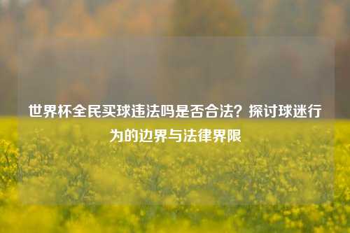 世界杯全民买球违法吗是否合法？探讨球迷行为的边界与法律界限