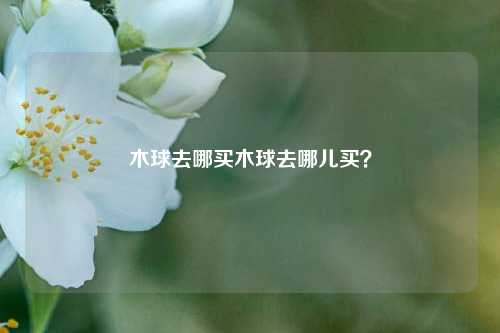 木球去哪买木球去哪儿买？