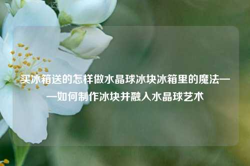 买冰箱送的怎样做水晶球冰块冰箱里的魔法——如何制作冰块并融入水晶球艺术