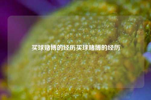 买球赌博的经历买球赌博的经历