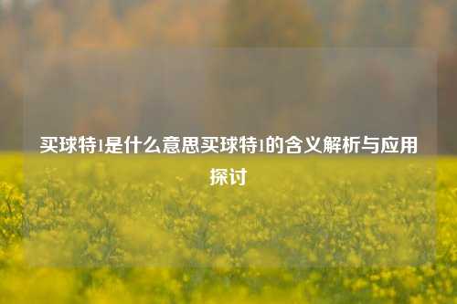 买球特1是什么意思买球特1的含义解析与应用探讨