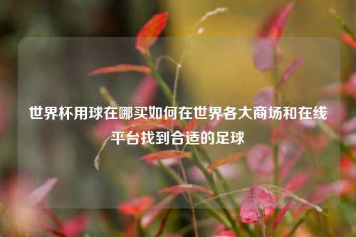 世界杯用球在哪买如何在世界各大商场和在线平台找到合适的足球