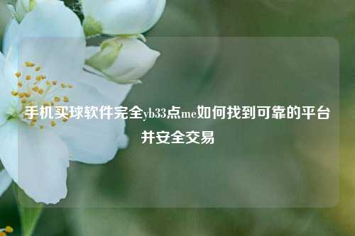 手机买球软件完全yb33点me如何找到可靠的平台并安全交易