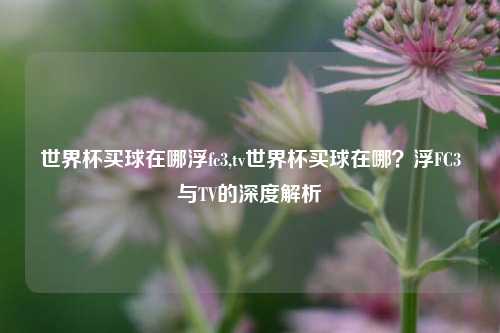 世界杯买球在哪浮fc3,tv世界杯买球在哪？浮FC3与TV的深度解析