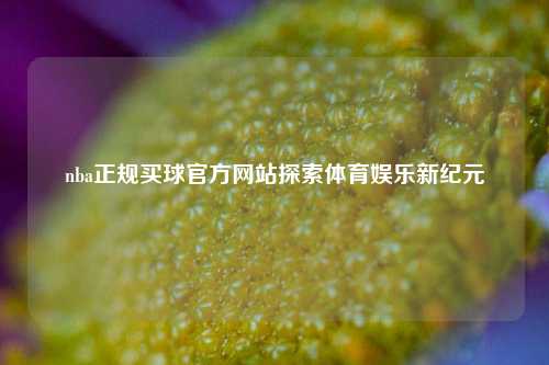 nba正规买球官方网站探索体育娱乐新纪元