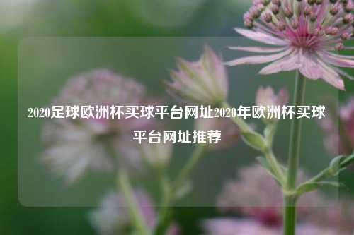 2020足球欧洲杯买球平台网址2020年欧洲杯买球平台网址推荐