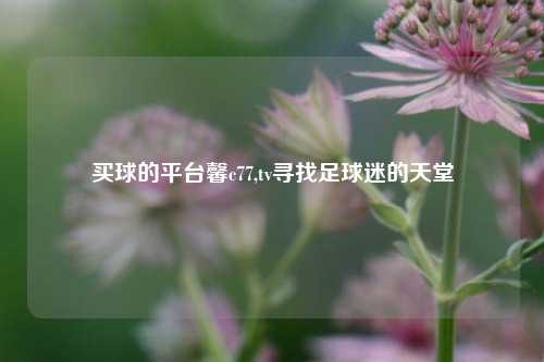 买球的平台馨c77,tv寻找足球迷的天堂