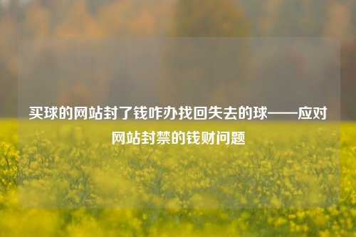 买球的网站封了钱咋办找回失去的球——应对网站封禁的钱财问题