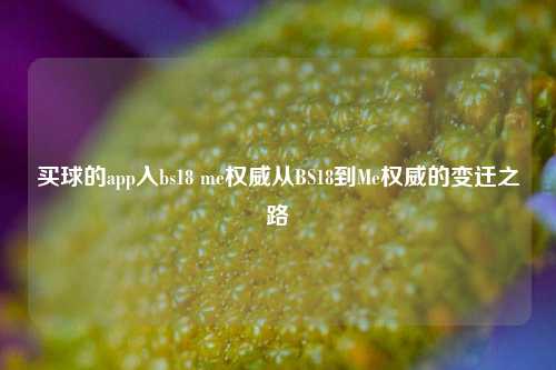 买球的app入bs18 me权威从BS18到Me权威的变迁之路