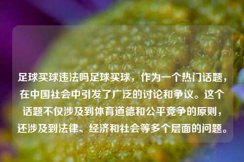 足球买球违法吗足球买球，作为一个热门话题，在中国社会中引发了广泛的讨论和争议。这个话题不仅涉及到体育道德和公平竞争的原则，还涉及到法律、经济和社会等多个层面的问题。