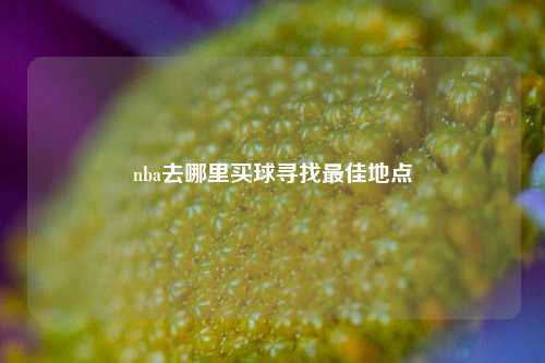 nba去哪里买球寻找最佳地点