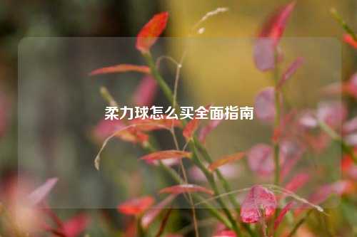 柔力球怎么买全面指南