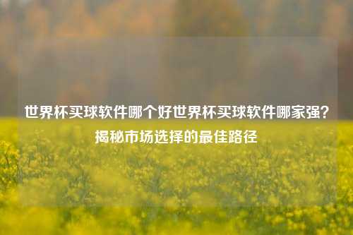 世界杯买球软件哪个好世界杯买球软件哪家强？揭秘市场选择的最佳路径