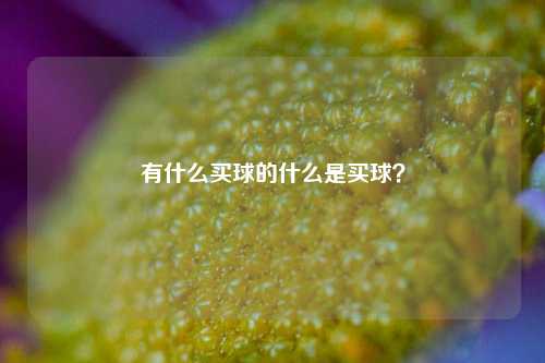 有什么买球的什么是买球？