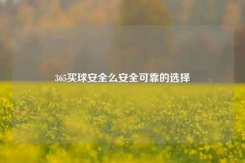 365买球安全么安全可靠的选择