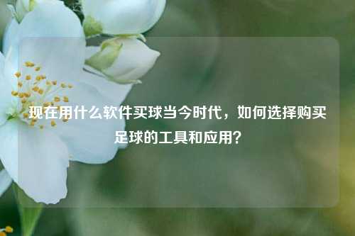 现在用什么软件买球当今时代，如何选择购买足球的工具和应用？