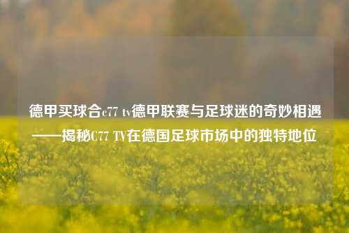 德甲买球合c77 tv德甲联赛与足球迷的奇妙相遇——揭秘C77 TV在德国足球市场中的独特地位