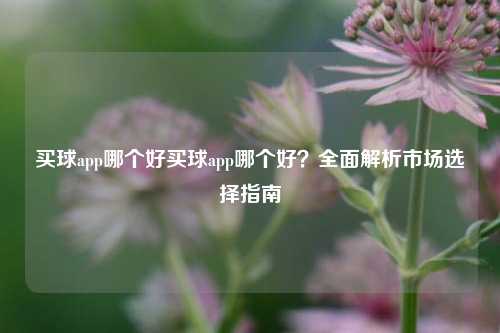 买球app哪个好买球app哪个好？全面解析市场选择指南