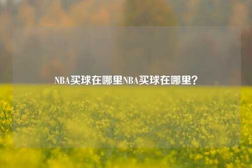 NBA买球在哪里NBA买球在哪里？