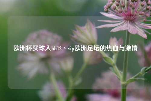 欧洲杯买球入hh12丶vip欧洲足坛的热血与激情