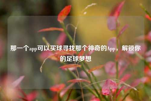 那一个app可以买球寻找那个神奇的App，解锁你的足球梦想