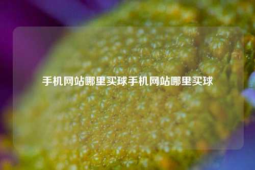 手机网站哪里买球手机网站哪里买球