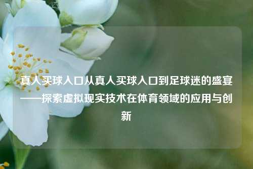 真人买球入口从真人买球入口到足球迷的盛宴——探索虚拟现实技术在体育领域的应用与创新