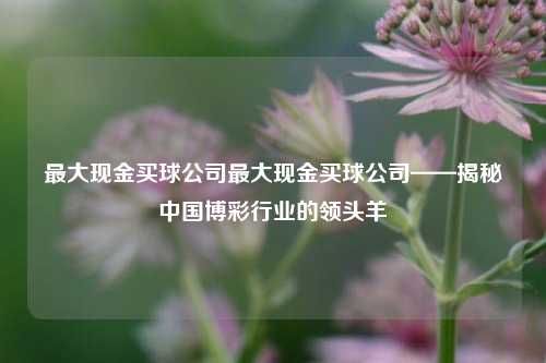最大现金买球公司最大现金买球公司——揭秘中国博彩行业的领头羊