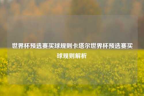 世界杯预选赛买球规则卡塔尔世界杯预选赛买球规则解析