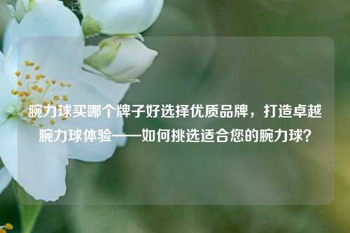 腕力球买哪个牌子好选择优质品牌，打造卓越腕力球体验——如何挑选适合您的腕力球？