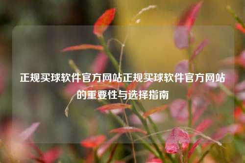 正规买球软件官方网站正规买球软件官方网站的重要性与选择指南