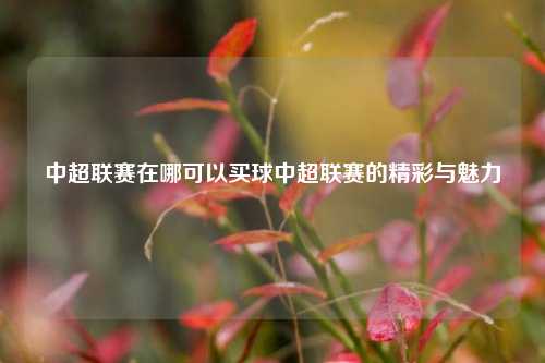 中超联赛在哪可以买球中超联赛的精彩与魅力