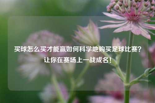 买球怎么买才能赢如何科学地购买足球比赛？让你在赛场上一战成名！