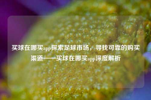 买球在哪买app探索足球市场，寻找可靠的购买渠道——买球在哪买app深度解析