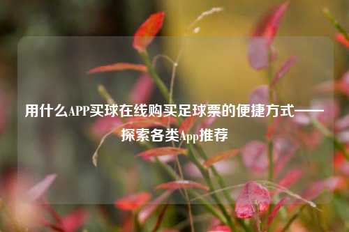 用什么APP买球在线购买足球票的便捷方式——探索各类App推荐