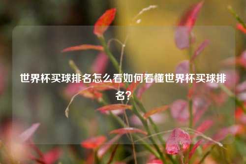 世界杯买球排名怎么看如何看懂世界杯买球排名？