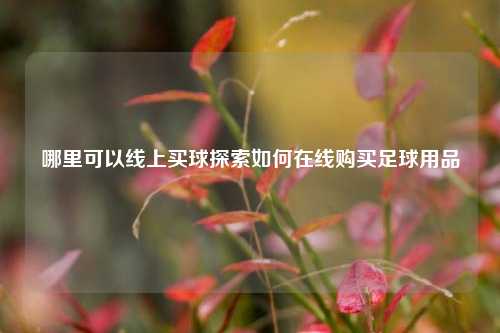 哪里可以线上买球探索如何在线购买足球用品