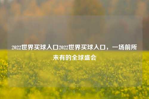 2022世界买球入口2022世界买球入口，一场前所未有的全球盛会