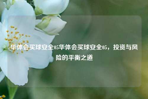 华体会买球安全05华体会买球安全05，投资与风险的平衡之道